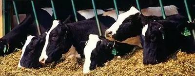 ��ҳ- ���������й��ٷ���վ