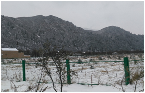 ��ҳ- ���������й��ٷ���վ