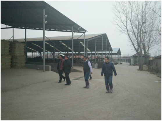 ��ҳ- ���������й��ٷ���վ