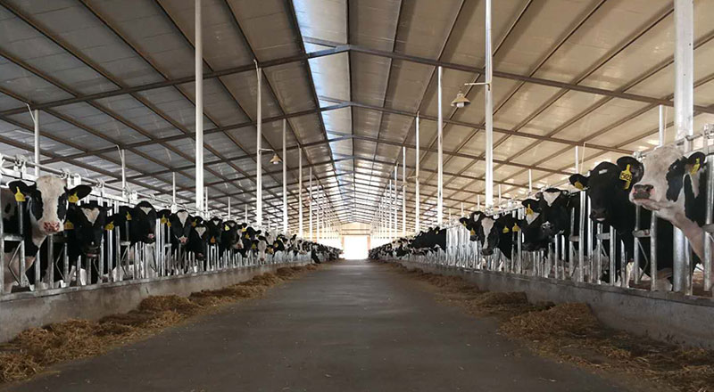 ��ҳ- ���������й��ٷ���վ