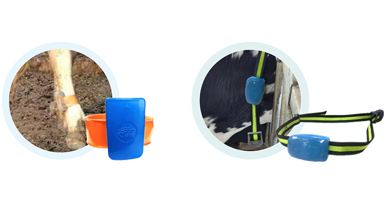 ��ҳ- ���������й��ٷ���վ