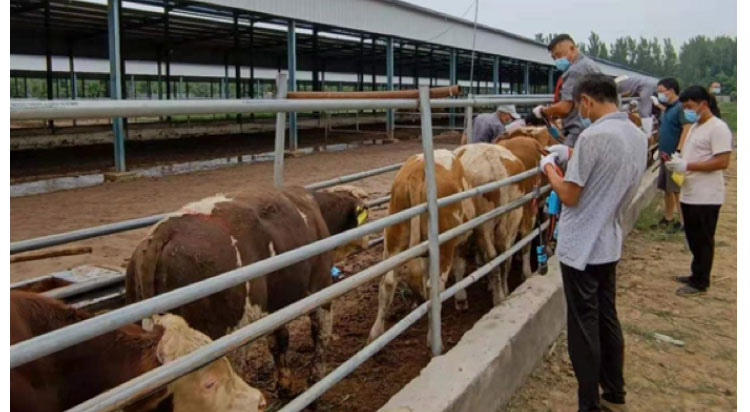 ��ҳ- ���������й��ٷ���վ