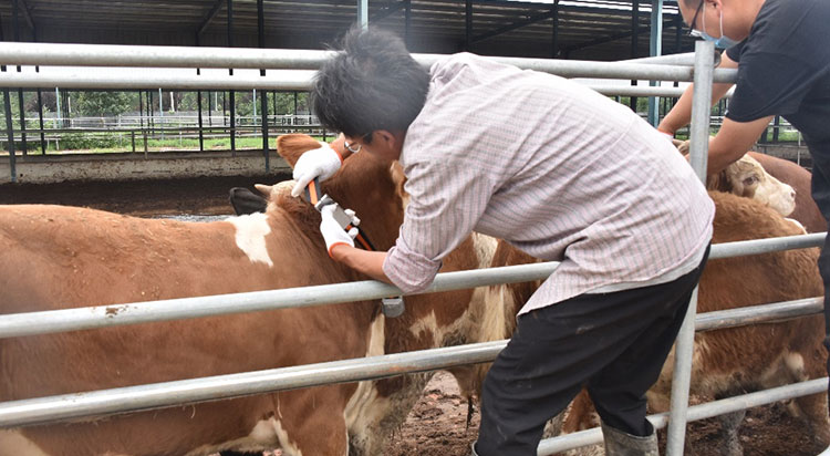 ��ҳ- ���������й��ٷ���վ