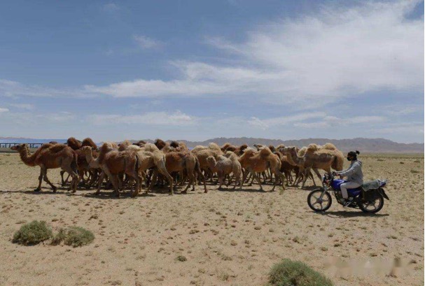 ��ҳ- ���������й��ٷ���վ