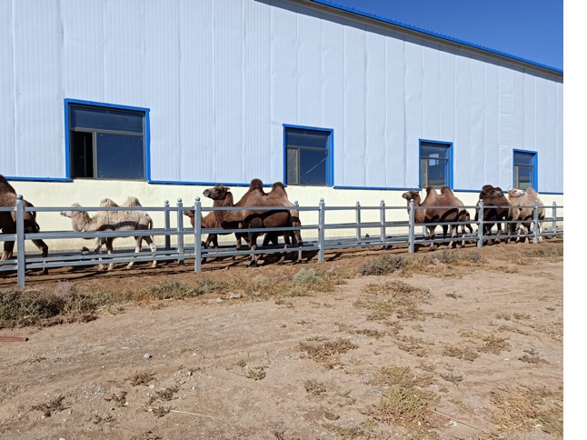 ��ҳ- ���������й��ٷ���վ