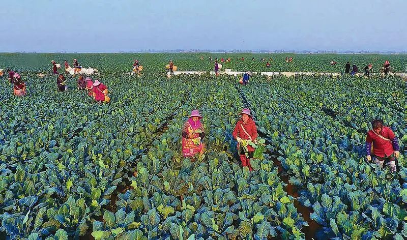 ��ҳ- ���������й��ٷ���վ