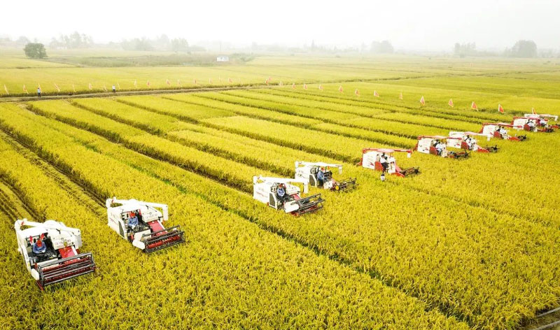 ��ҳ- ���������й��ٷ���վ