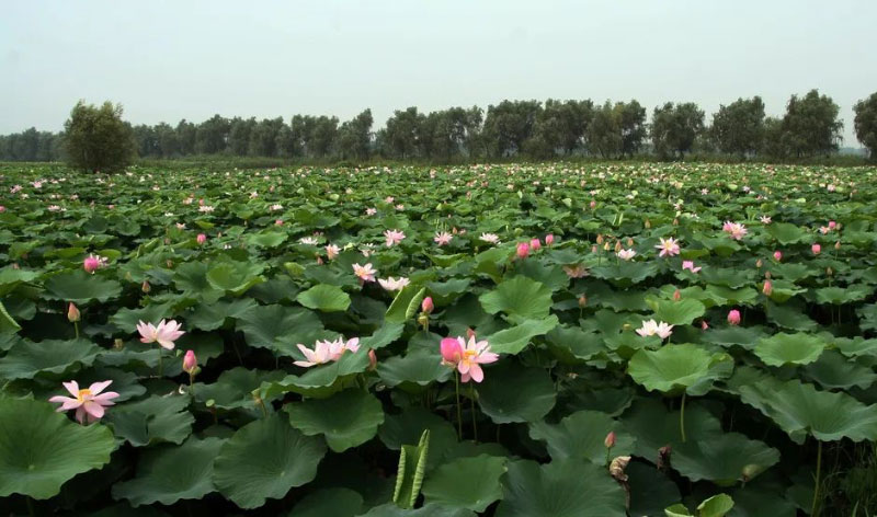 ��ҳ- ���������й��ٷ���վ