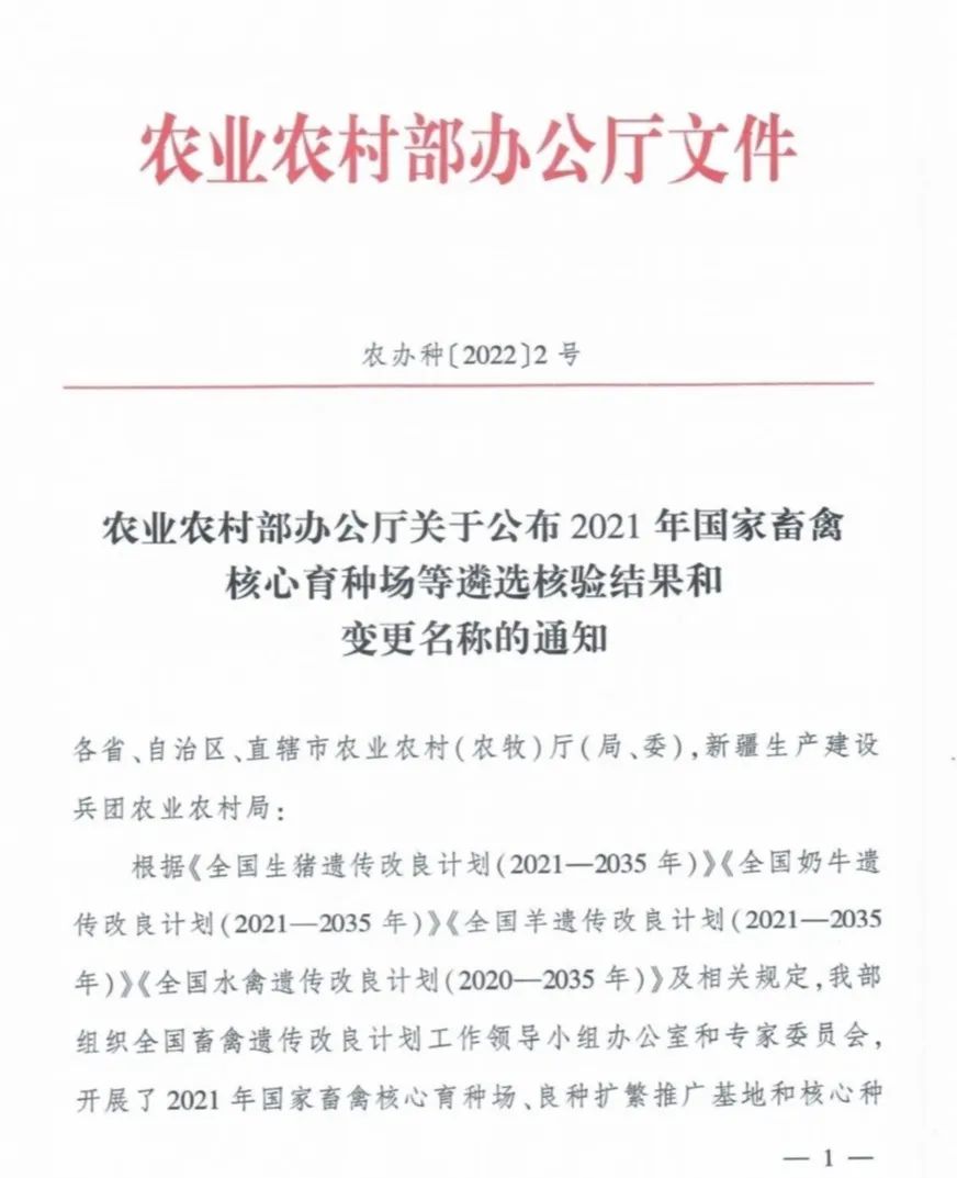 ��ҳ- ���������й��ٷ���վ