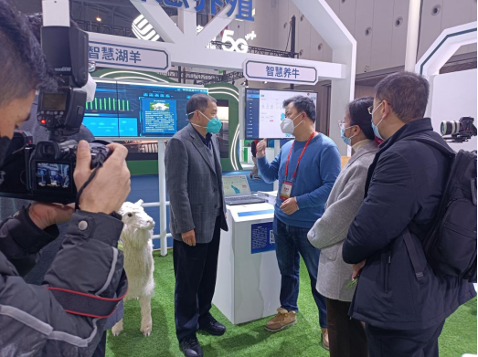 ��ҳ- ���������й��ٷ���վ