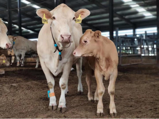 ��ҳ- ���������й��ٷ���վ