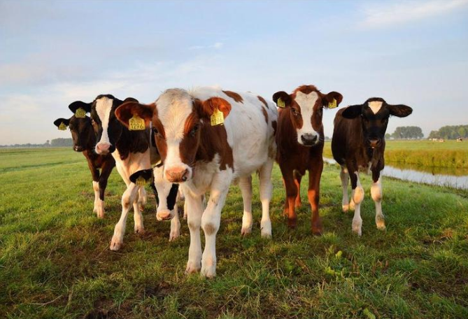 ��ҳ- ���������й��ٷ���վ