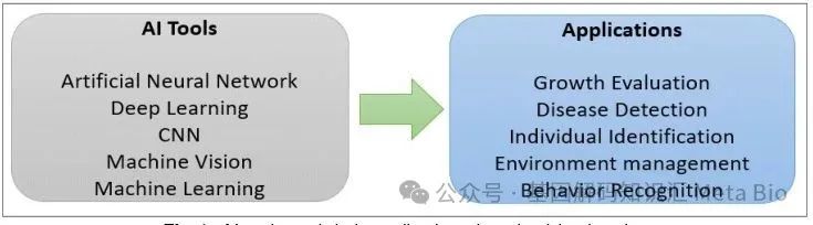 ��ҳ- ���������й��ٷ���վ