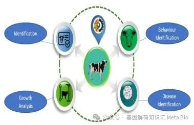 ��ҳ- ���������й��ٷ���վ